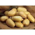 tengzhou φρέσκια ζεστή πώληση πατάτας